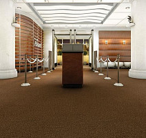 Forbo Coral Marine FR 4226 Tanger Brown фото 2 | FLOORDEALER